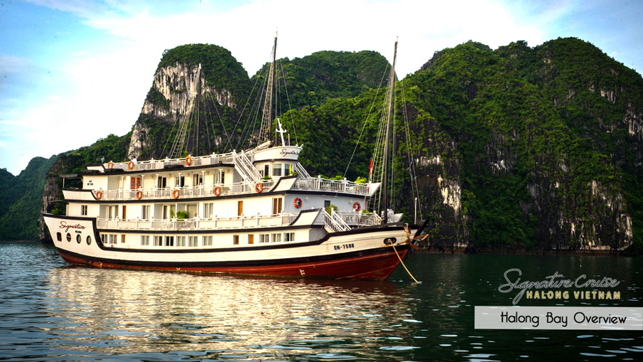Signature Cruise (5 star experience)
