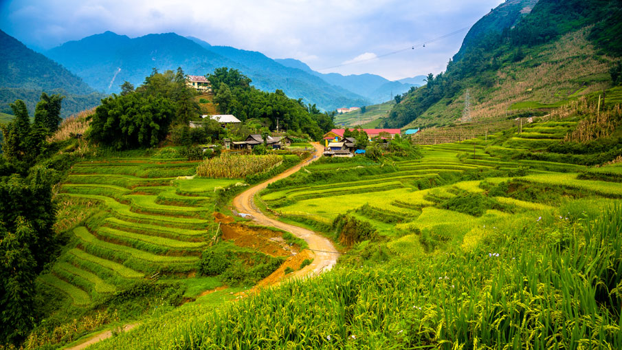 SAPA EASY TREK 3 DAYS 4 NIGHTS (ALIANABOUTIQUE SAPA & HOMESTAY)